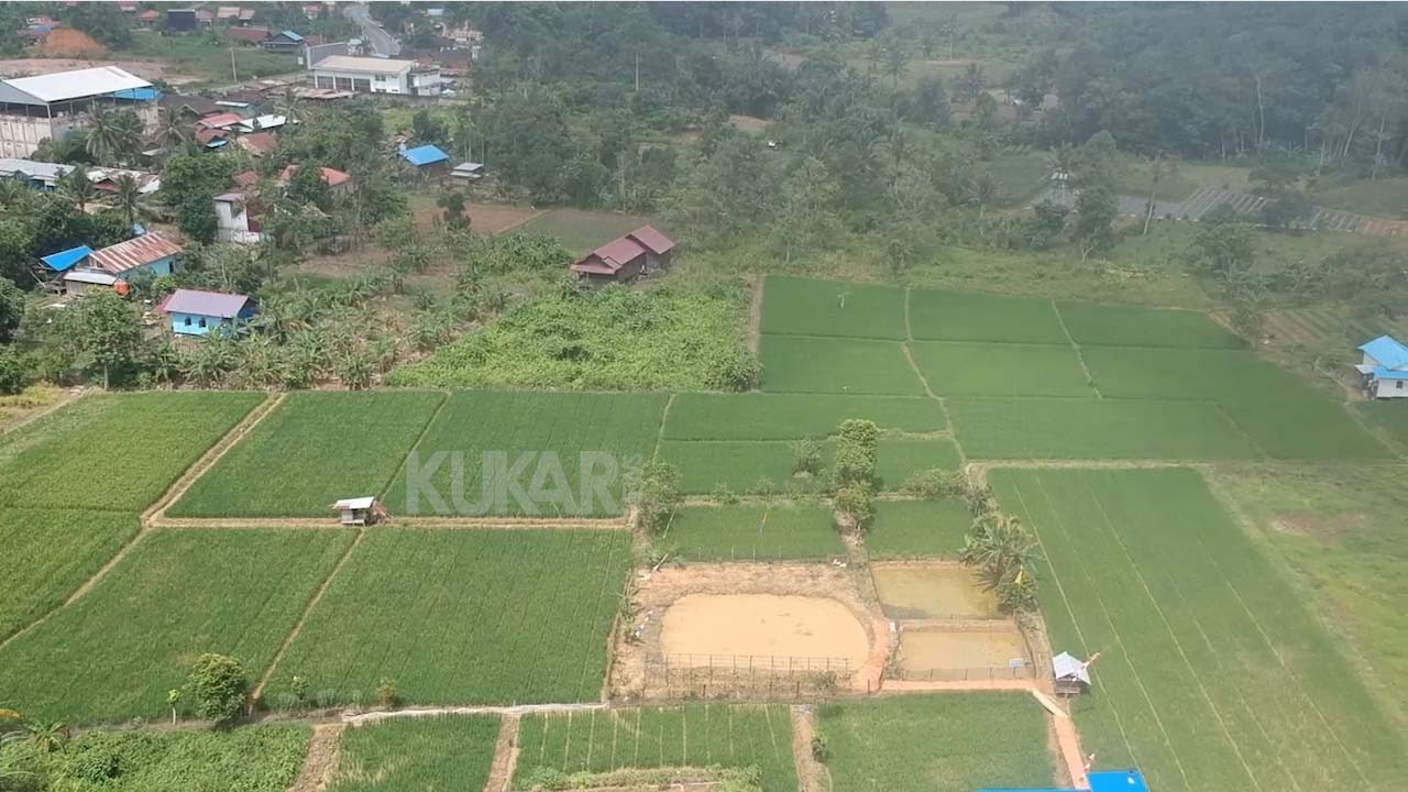 Prioritas Pengembangan Pertanian di Kukar