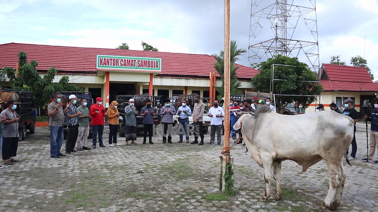 Masyarakat Samboja Menerima Penyaluran Hewan Kurban