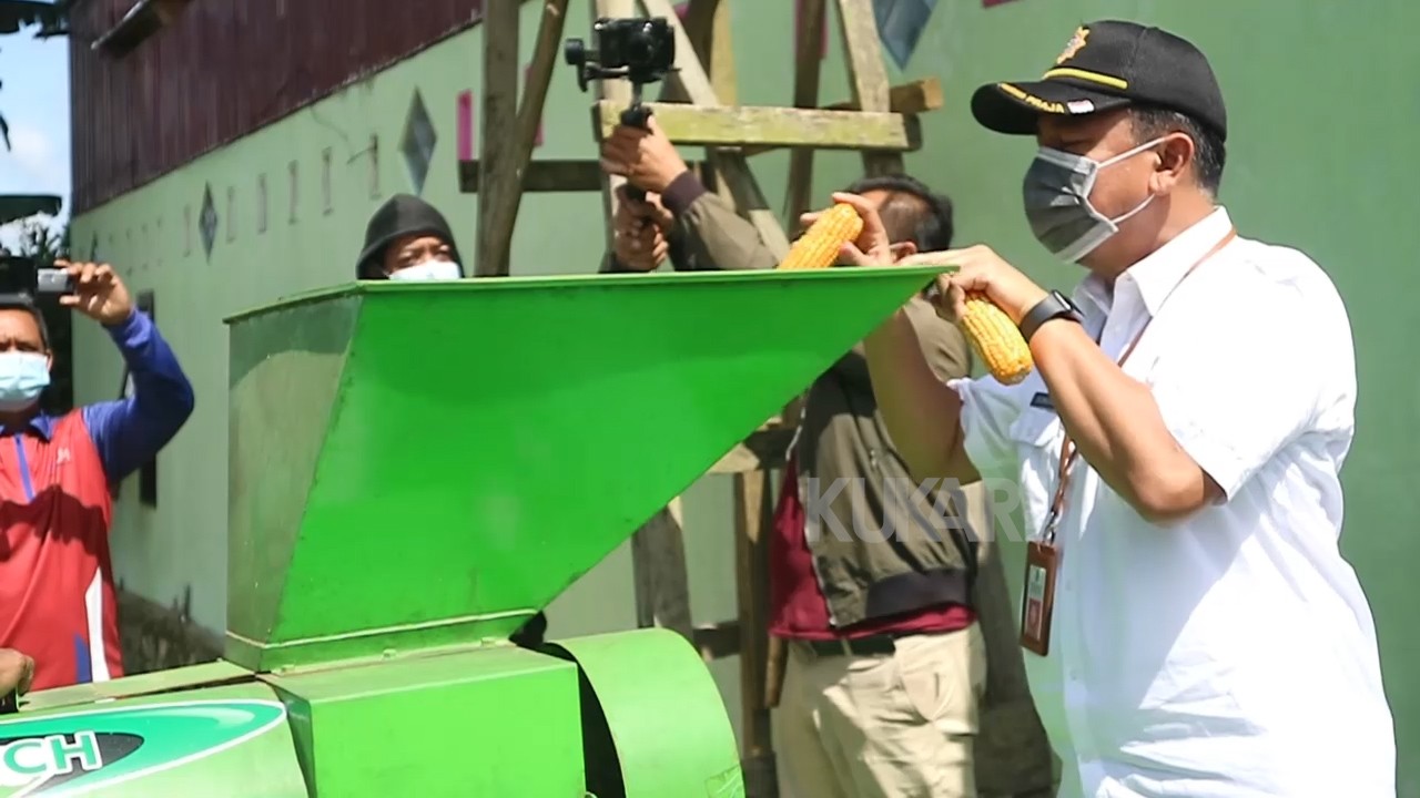 Pemkab Kukar Dorong Produktivitas Pertanian Jagung