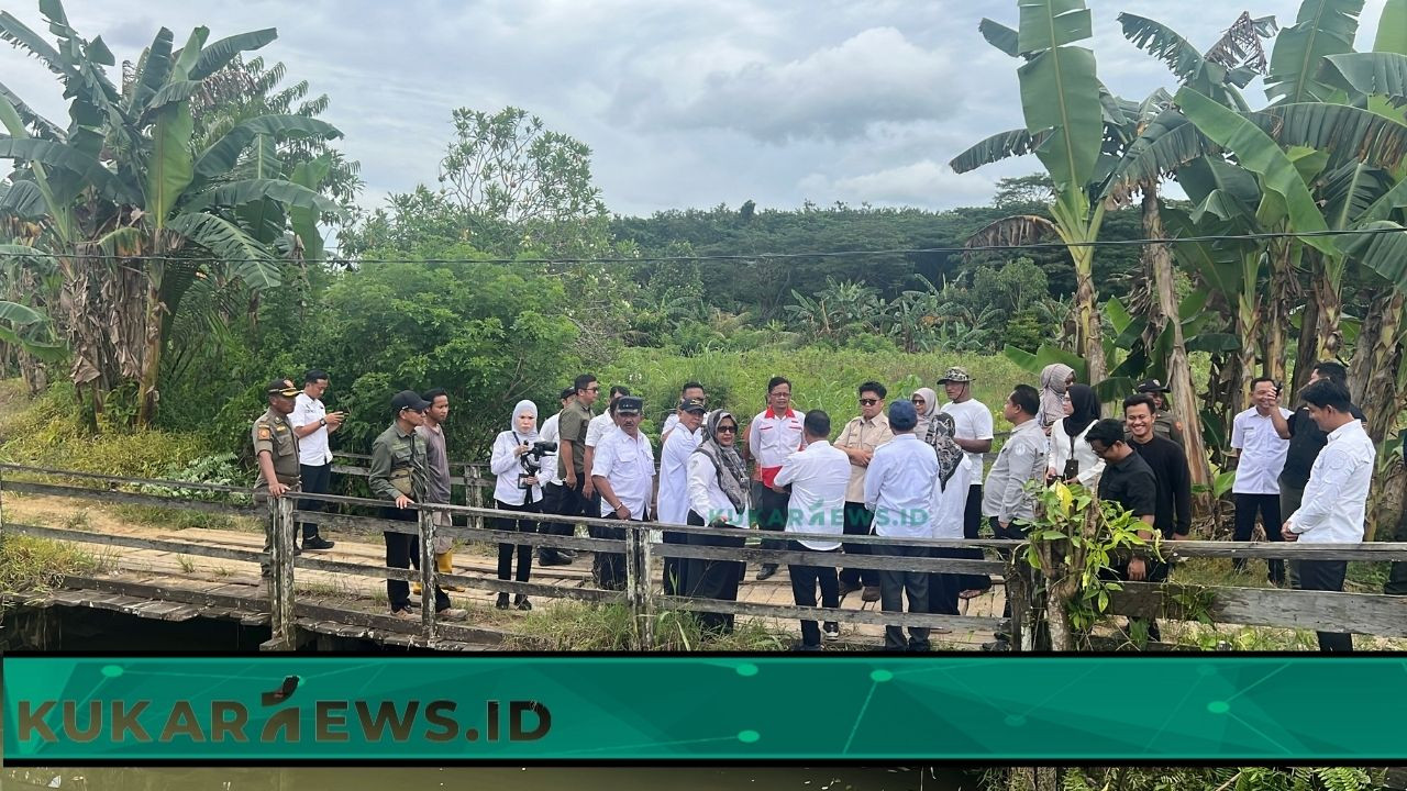 Wabup Kukar Tinjau Jembatan Bokpitung, Janji Segera Perbaiki Demi Kelancaran Akses Petani